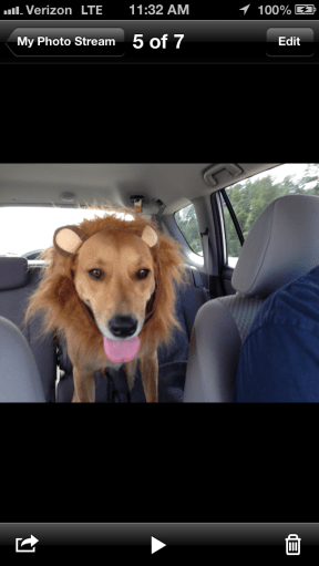 Photo Dec 03, 11 32 23 AM