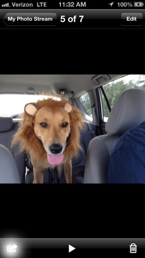 Photo Dec 03, 11 32 39 AM